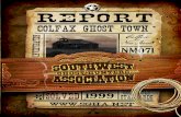 Investigation of Colfax Ghost Town