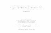 Data Distribution Management in Large-Scale Distributed ...