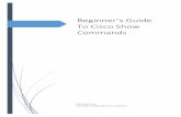Beginner’s Guide To Cisco Show Commands