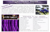 Tiger Team News - PC\|MAC