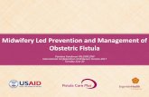 Midwifery Led Prevention and Management of Obstetric Fistula