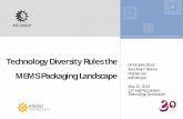Technology Diversity Rules the MEMS Packaging Landscape