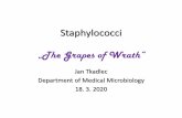 Staphylococci The Grapes of Wrath