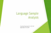 Language Sample Analysis - chatwithus.org