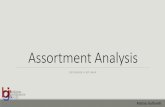 Assortment Analysis - unibo.it