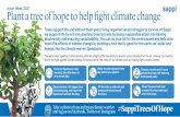 Arbor Week 2021 Plant a tree of hope to help fight climate ...