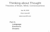 Thinking about Thought - Piero Scaruffi