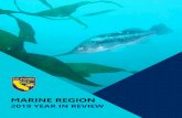 Marine Region Year in Review 2019