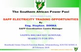 The Southern African Power Pool - Home - SAIPPA