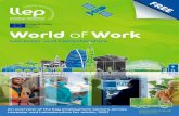 World of Work - LLEP
