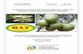 POMELO COOPERATIVE ASSESSMENT IN VINH CUU DISTRICT, …