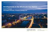 Developments in the Wholesale Gas Market