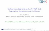 Software strategy and goals of TREX CoE