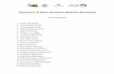 Dynamics of Open Quantum Systems Workshop