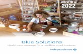 2022 Blue Solutions Plan Overview Brochure