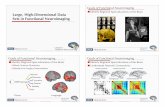 Large, High-Dimensional Data Sets in Functional Neuroimaging