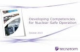 Developing Competencies for Nuclear Safe Operation