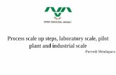 Process scale up steps, laboratory scale, pilot plant and ...