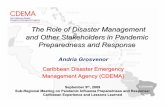 Role of Disaster Management and Other Stakeholders in ...