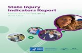 2010 State Injury Indicator Instructions
