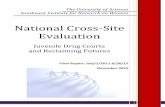 National Cross-Site Evaluation