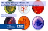Anti-Aging from Superfoods and Modulating Skin Microbiota ...