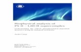 Biophysical analysis of PS II LHCII supercomplex