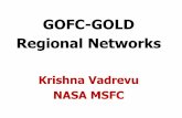 GOFC-GOLD Regional Networks