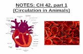 NOTES: CH 42, part 1 (Circulation in Animals)