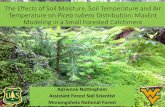 The Effects of Soil Moisture, Soil Temperature and Air ...