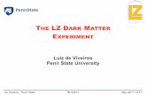 THE LZ DARK MATTER