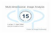 Multi-dimensional Image Analysis - Petra Christian University