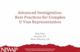 Advanced Immigration: Best Practices for Complex U Visa ...