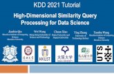 High-Dimensional Similarity Query Processing for Data Science