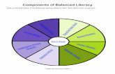 Components of Balanced Literacy - Coatesville Area School ...
