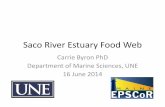 Saco River Estuary Food Web