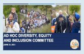 AD HOC DIVERSITY, EQUITY AND INCLUSION COMMITTEE