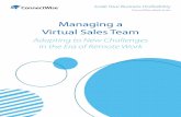 Managing a Virtual Sales Team