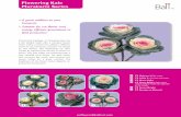 Flowering Kale Murakami Series - Ball Seed