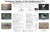 Venomous Snakes of the Southeastern U.S.