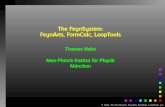 The FeynSystem: FeynArts, FormCalc, LoopTools