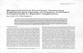 Biogeochemical Processes Governing Exposure and Uptake of ...
