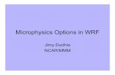 Microphysics Options in WRF