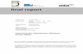 Final report submission guidelines - MLA