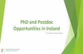 PhD and Postdoc Opportunities in Ireland - EURAXESS