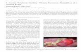 A Massive Peripheral Ossifying Fibroma–Uncommon ...