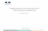 Analysing End user Experiences in ITIL Incident Management