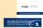 Guide to the Dispute Resolution Process 1