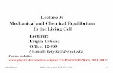 Lecture 3: Mechanical and Chemical Equilibrium In the ...
