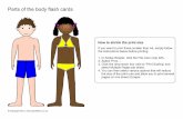 Parts of the body flash cards